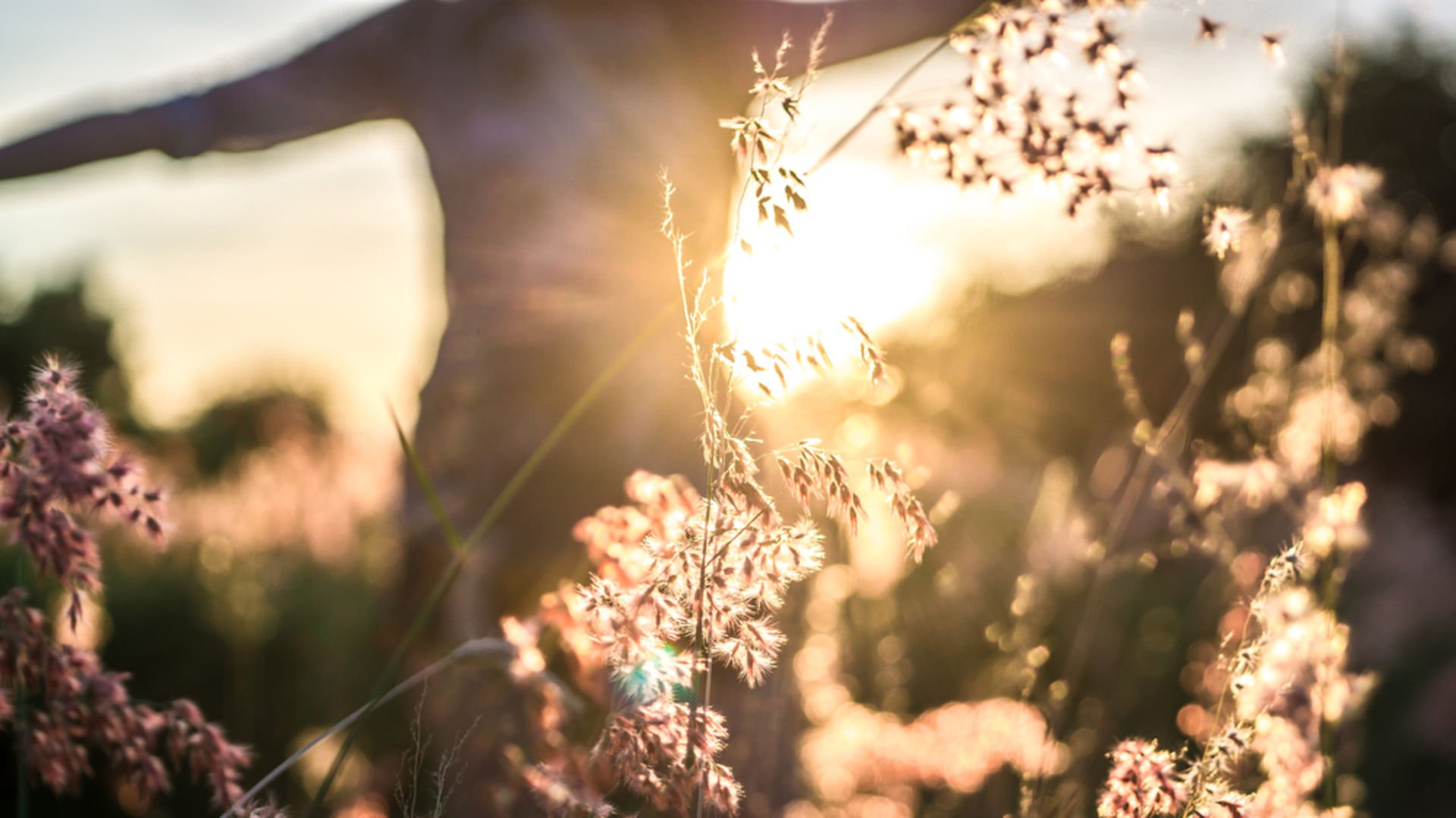 Gerçek tutkularımızı nasıl keşfederiz?