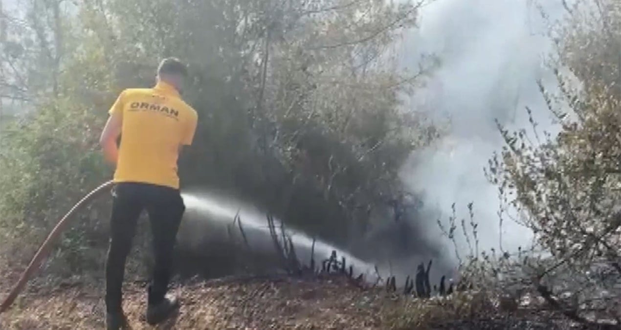 Osmaniye’de yangın: 90 dönüm alan zarar gördü